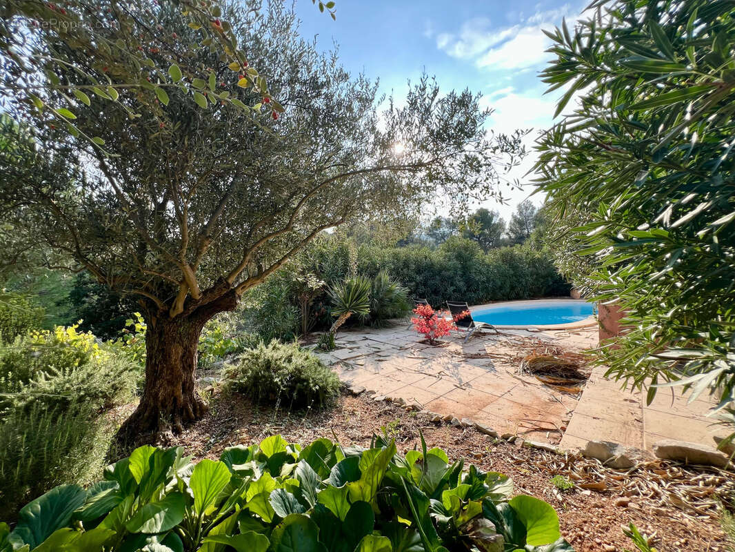 Maison à LA DESTROUSSE