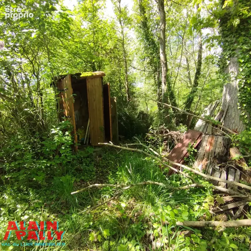 Terrain bord de loir - photo 9