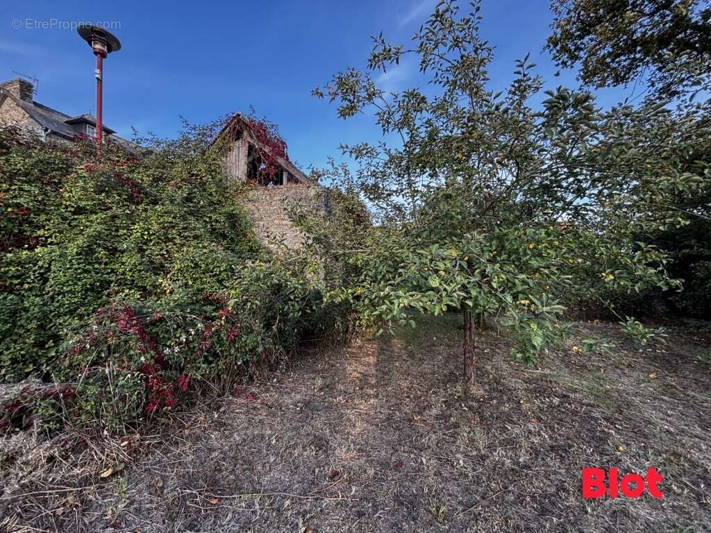 Maison à SAINT-GERMAIN-SUR-ILLE