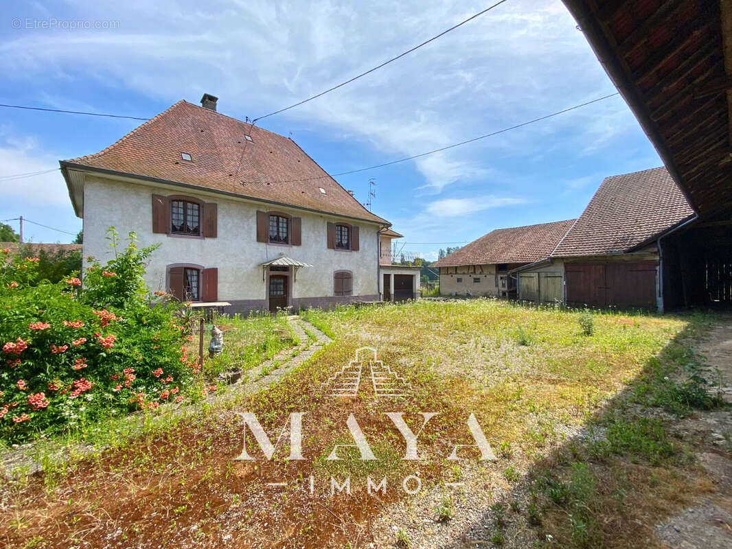 Steinbrunn-Le-Haut, Maison avec dépendance. - photo 5
