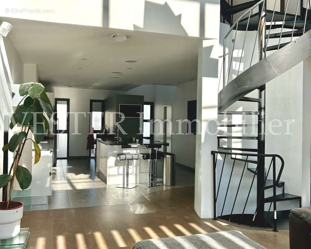 Maison d'architecte 260m² 9 pièces - garage - piscine - photo 5