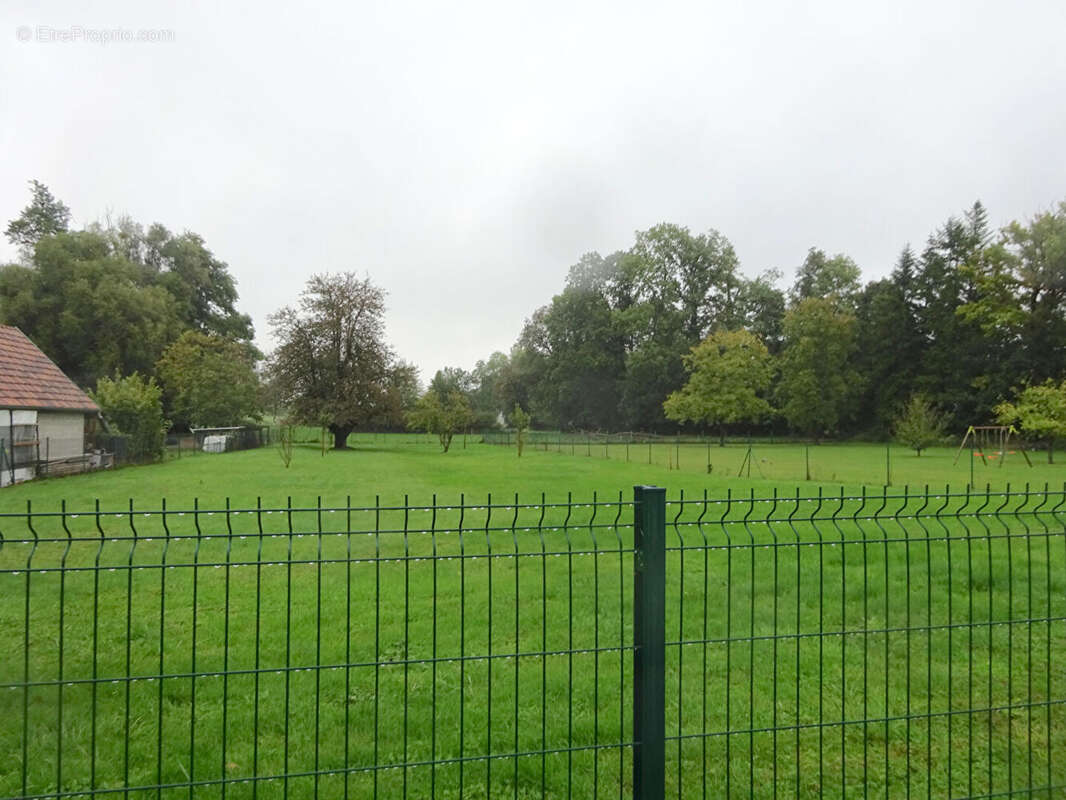 Terrain à STEINBRUNN-LE-HAUT