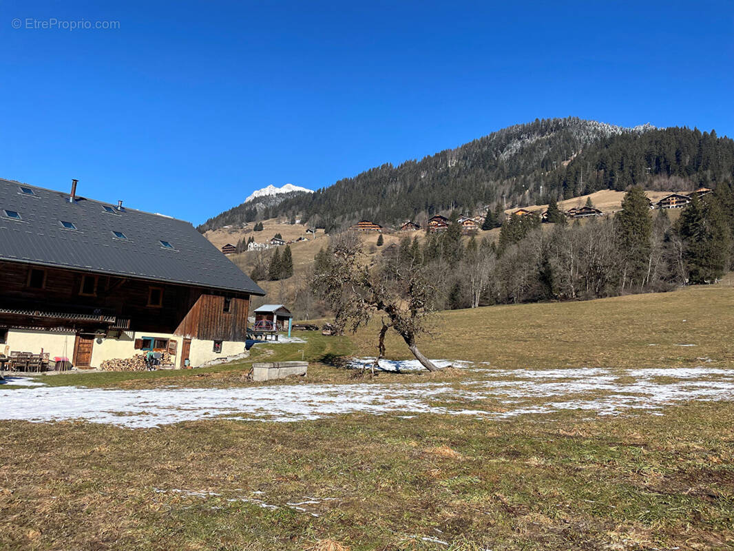 Terrain à LA CHAPELLE-D'ABONDANCE