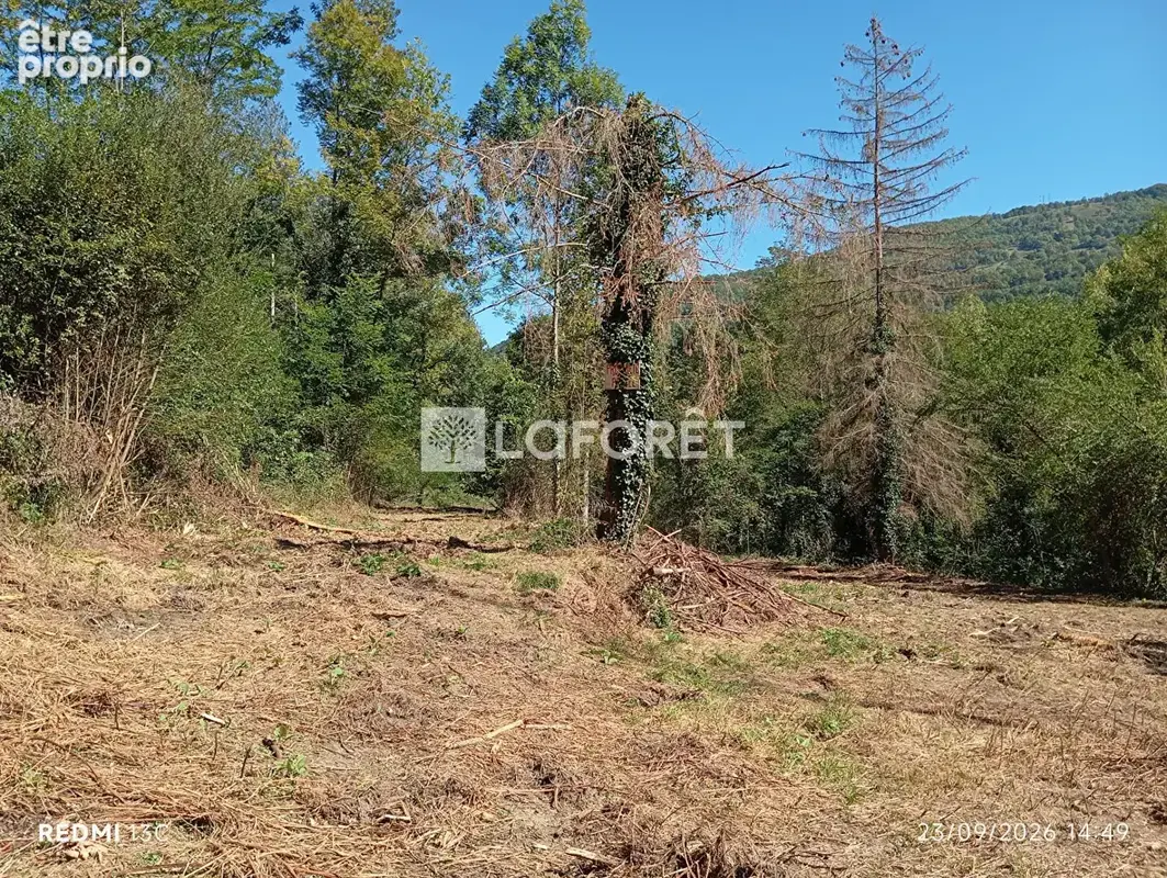 Ancien camping / 2,15 ha - prats de mollo - photo 13