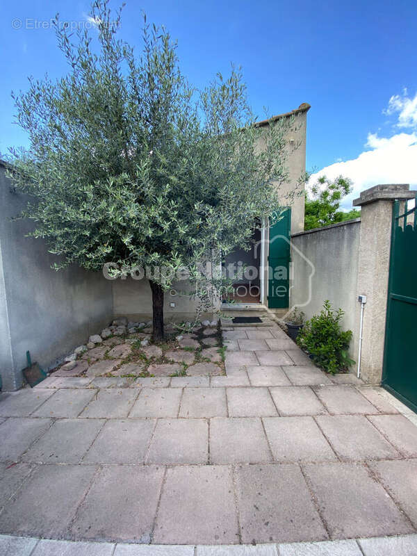 Saint Remy de Provence, au calme, maison de 3 logements - photo 4