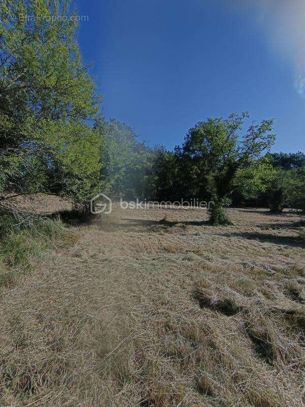  Superbe terrain arboré de 4 190 m² (Divisible ou extensible jusqu'à 8 879 m²) – Tourtoirac - photo 3