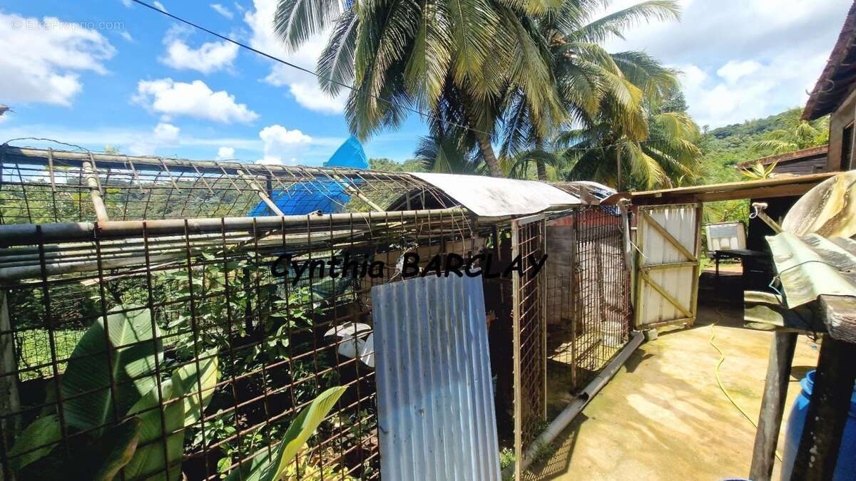 Maison à SAINT-JOSEPH