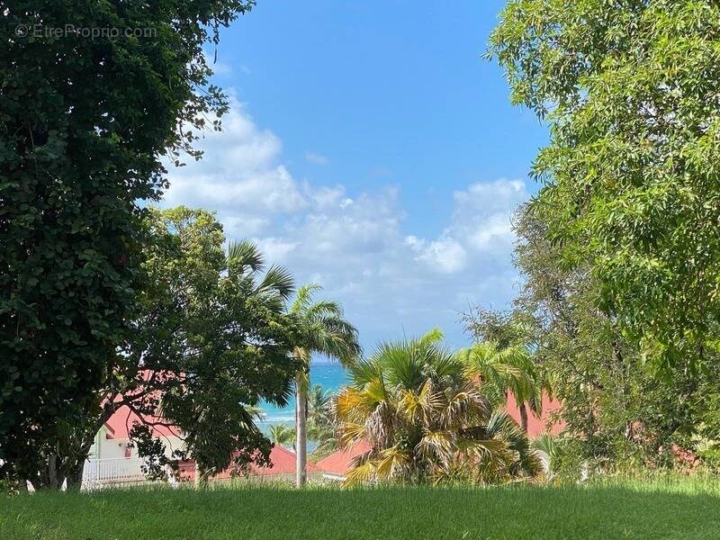 Appartement à SAINTE-ANNE