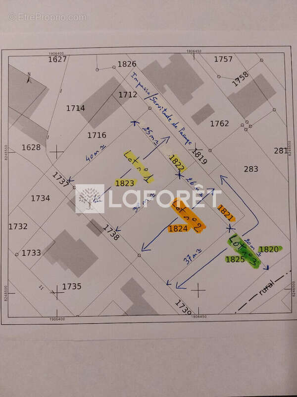 Dernier Terrain constructible Lot n°2  1 000  m2 - photo 5