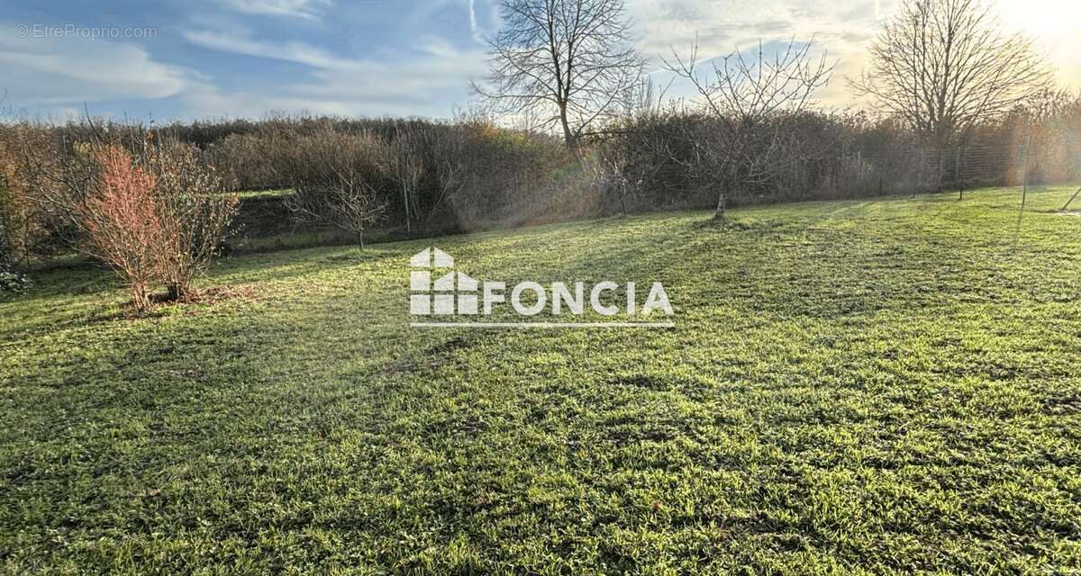 Terrain à JOUE-LES-TOURS