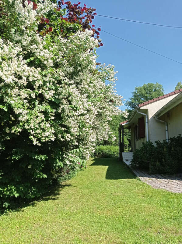 Maison à NEUFMAISONS