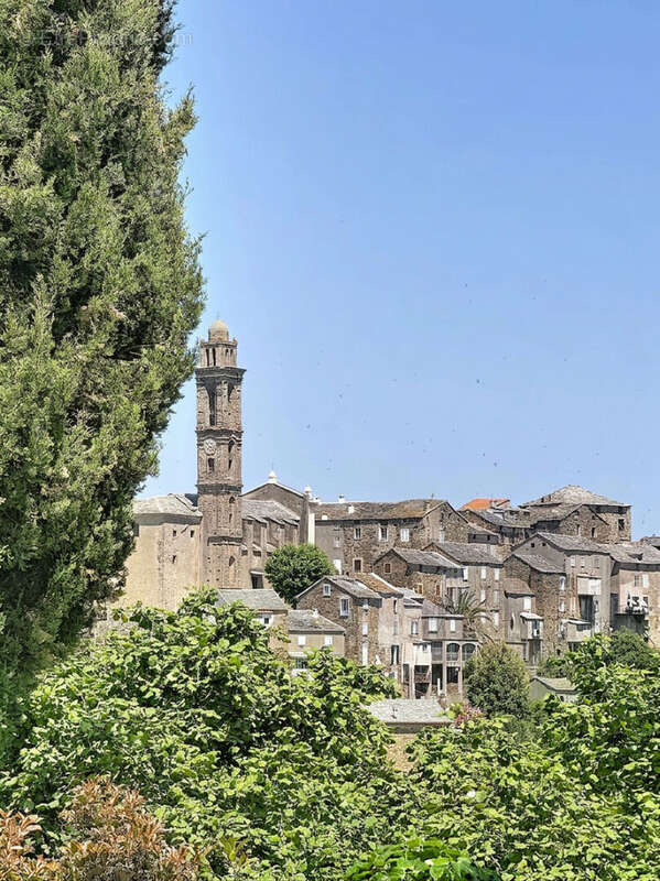 Villa Venzolasca 5 pièces - photo 18