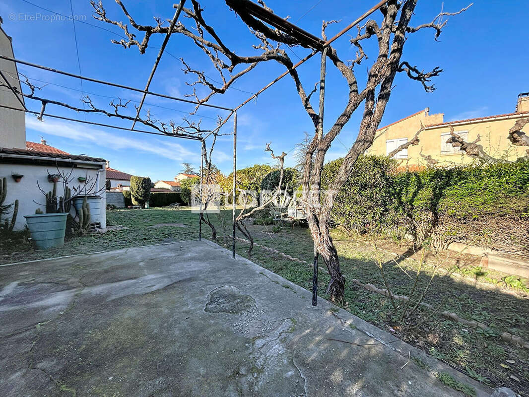 Terrain à SAINT-FELIU-D'AMONT