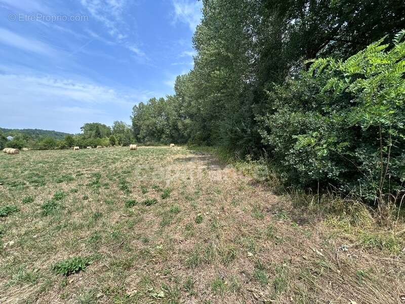 Terrain à vendre  COULAURES (24) 8637m² - photo 7