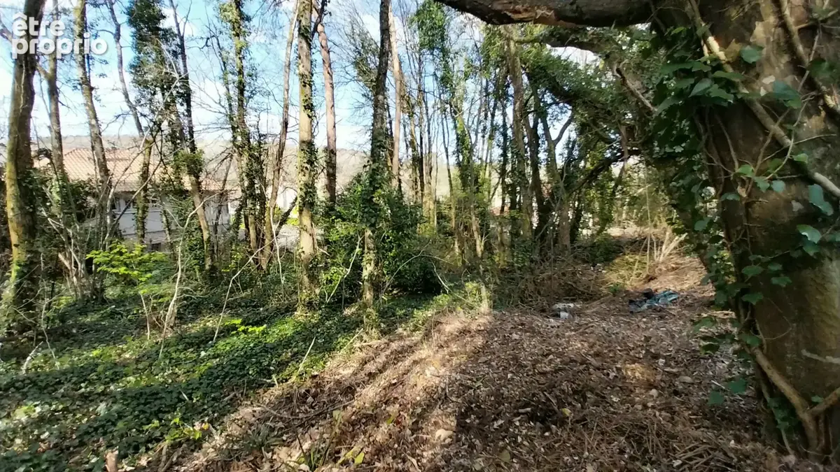 Terrain constructible Boisé 2500 m2 à CHANCELADE - photo 5