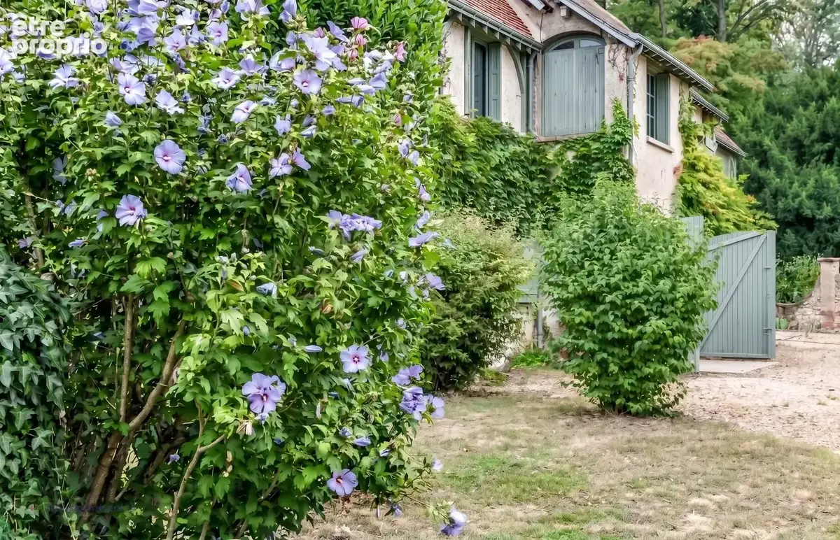 La croix en touraine - photo 1