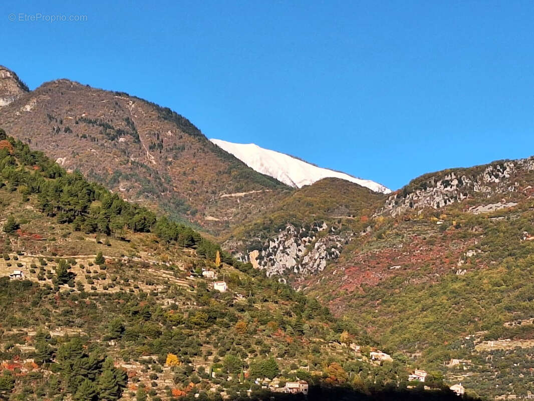 Maison à BREIL-SUR-ROYA