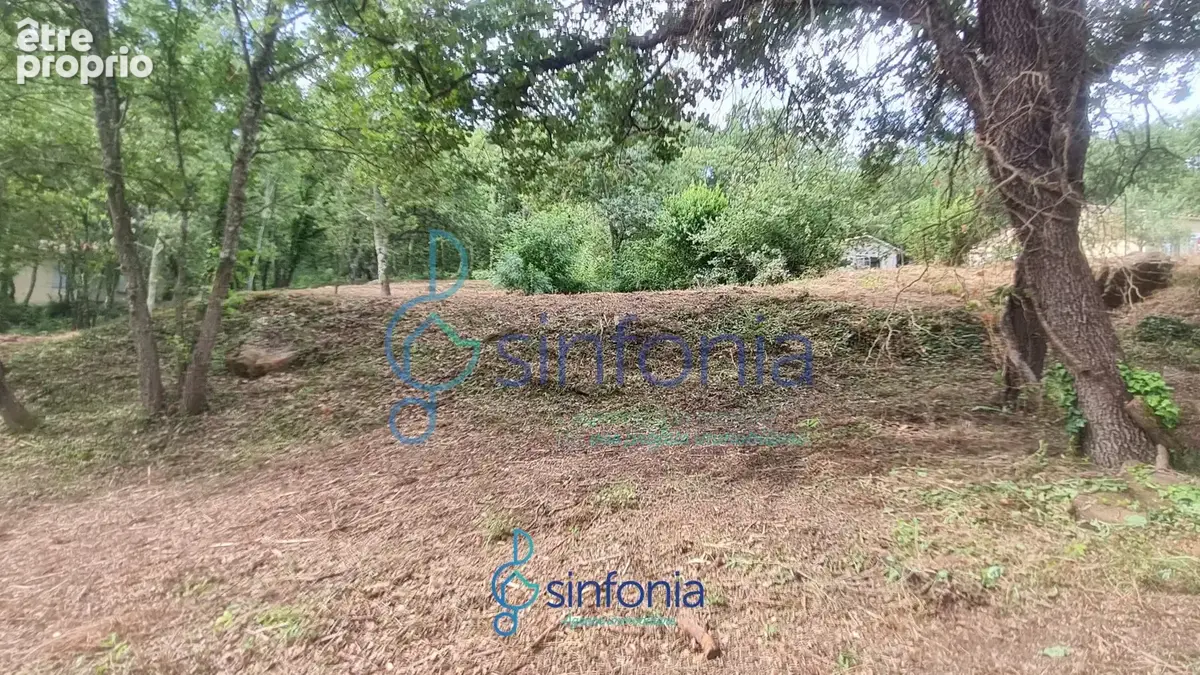 Terrain constructible à vendre à Pougnadoresse Gard 30 Occitanie - photo 6