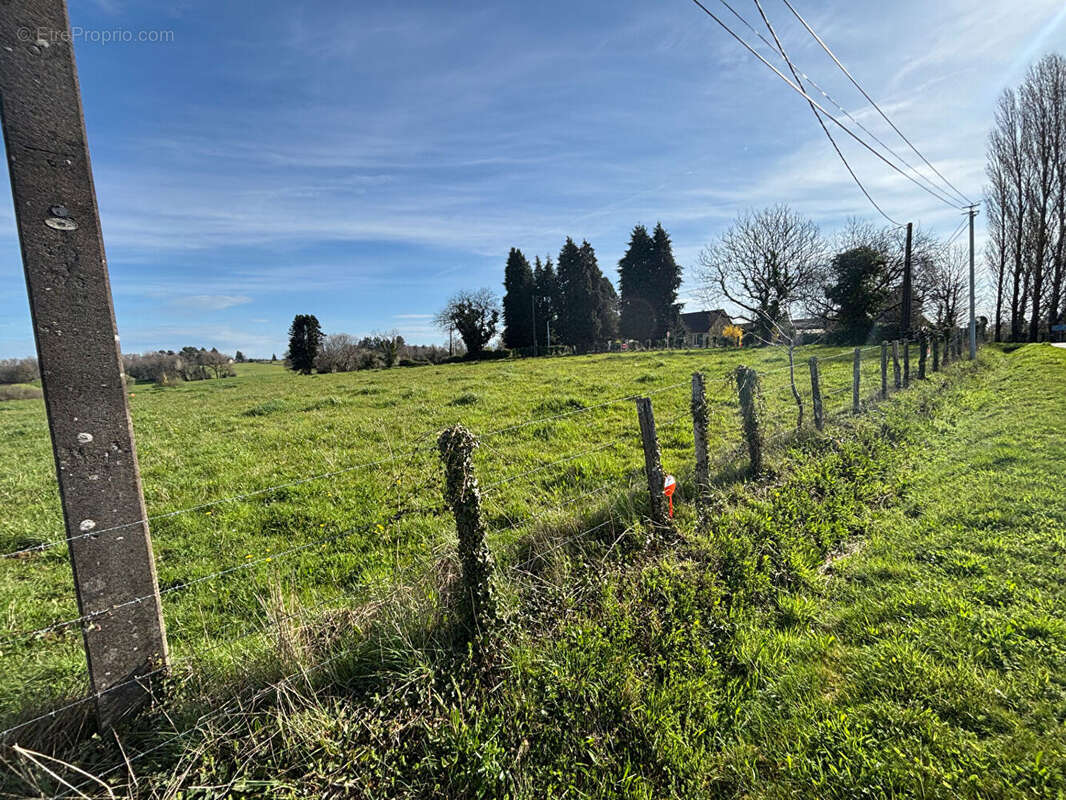 Terrain à SAINT-YRIEIX-LA-PERCHE