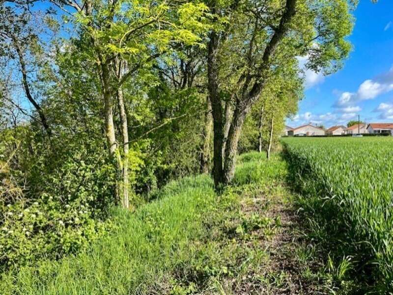 Terrain à AVAILLES-THOUARSAIS