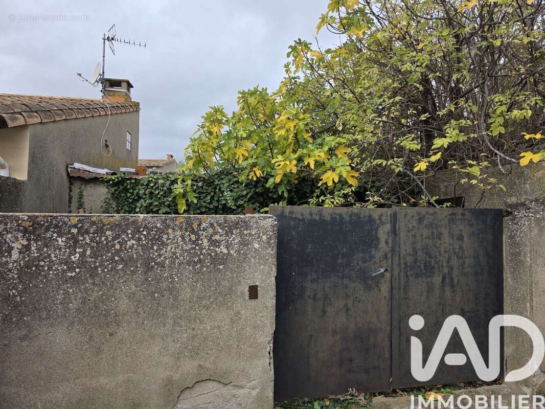 Photo 2 - Terrain à VILLENEUVE-MINERVOIS