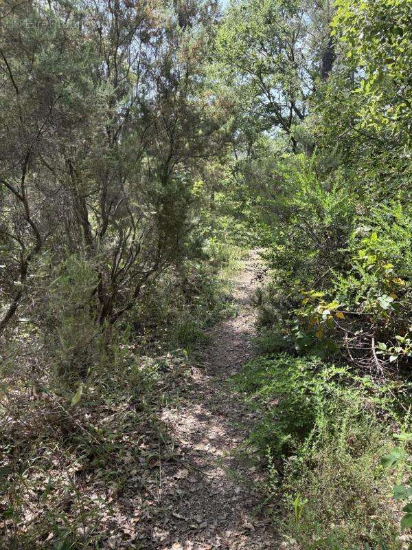 Terrain agricole et naturel - photo 11