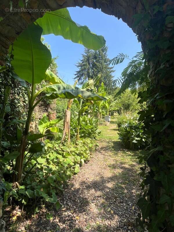 PLAISANCE (32): SANS TRAVAUX, MAISON XVIIIs restaurée avec élégance SUR 240M2 habitables, 6600m2 de jardin,géothermie,  puits, g - photo 2