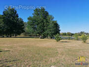 Terrain à SAINT-BRICE