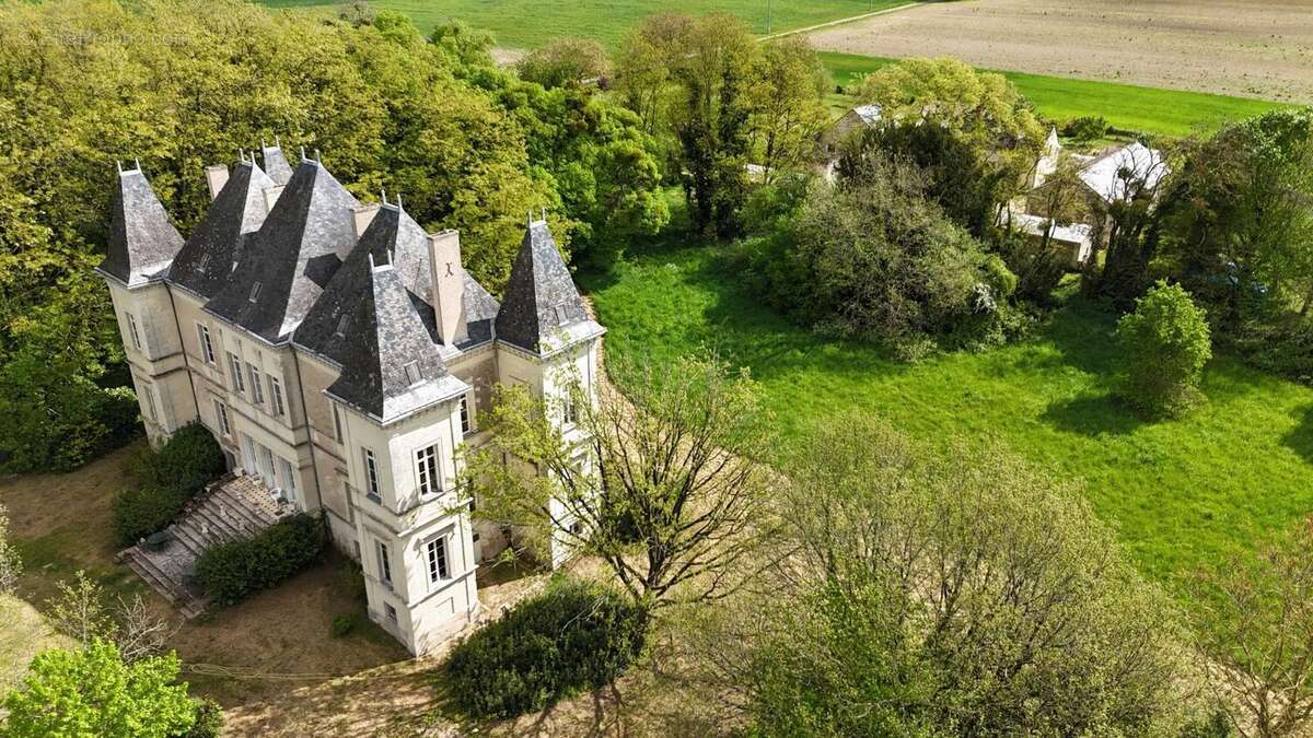 333 m² à Neuille  - photo 4