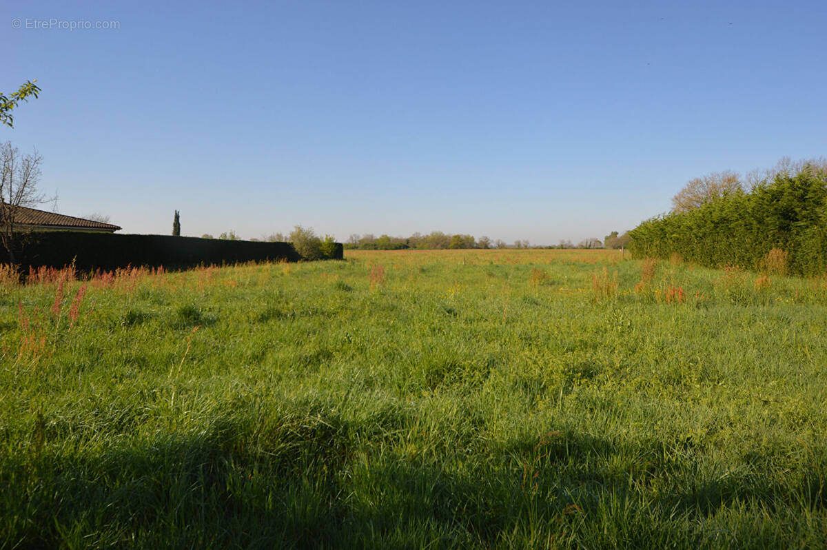 Terrain à CASTELSARRASIN