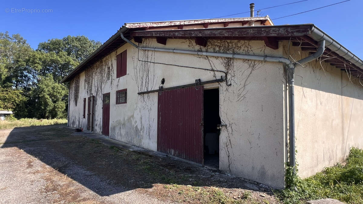 St Sulpice et Cameyrac- Propriété à rénover 300 m2 hab+ Grange sur 5 hectares - photo 14