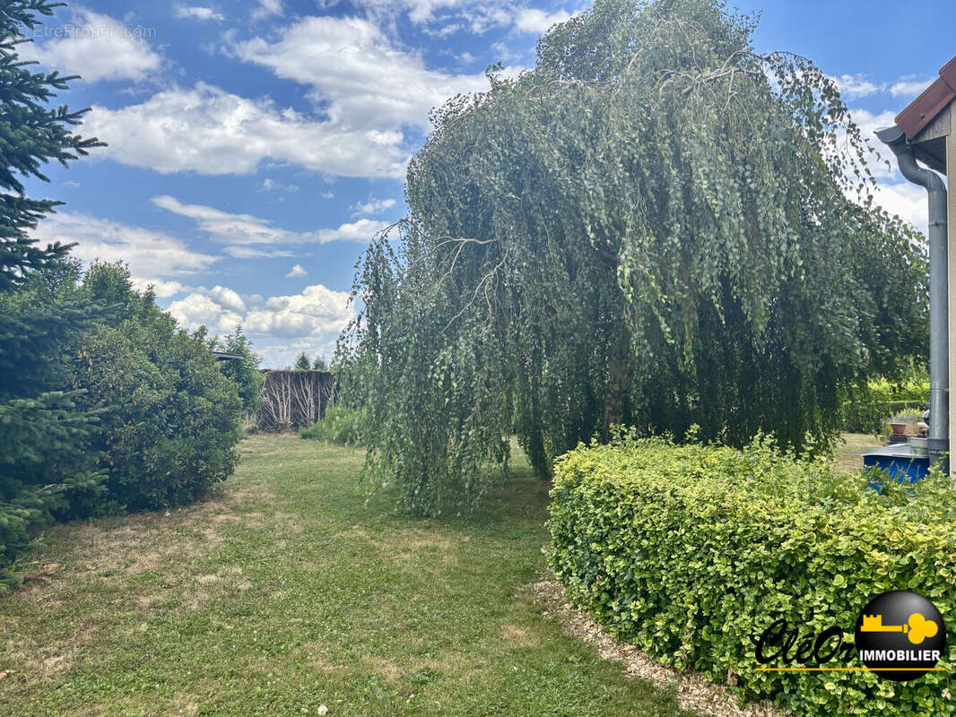 Maison 90 m² à Gigny-Sur-Saone  - photo 8