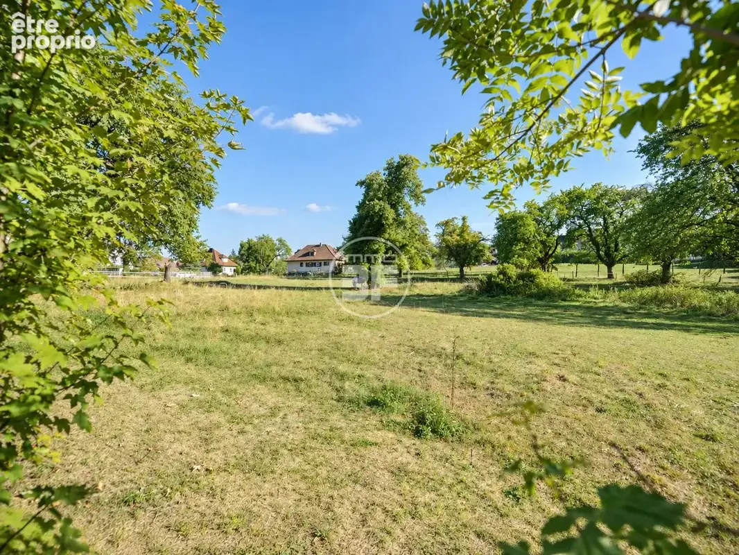 Maison 10 pièces 297 m² à vendre à Hegenheim (68220) - photo 9