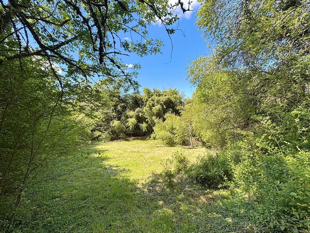 Terrain constructible 1762 m2 - Chindrieux - photo 6