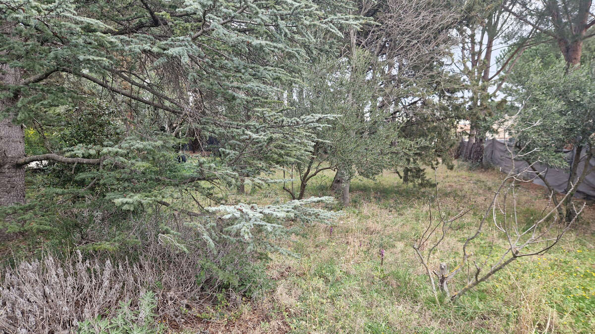 Terrain à SAINT-JEAN-DE-FOS