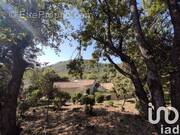 Photo 1 - Maison à SAINT-JEAN-DU-PIN