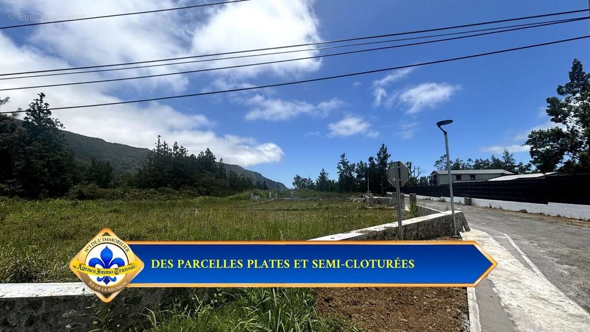 Terrain à LA PLAINE-DES-PALMISTES