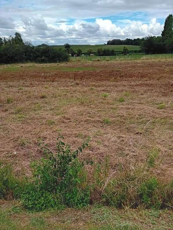 Photo 2 - Terrain à PROYART