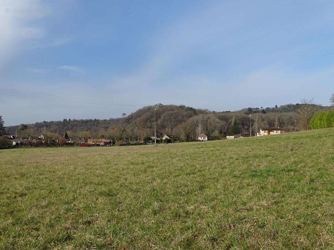 Terrain Thonac 19000 m2 - photo 4