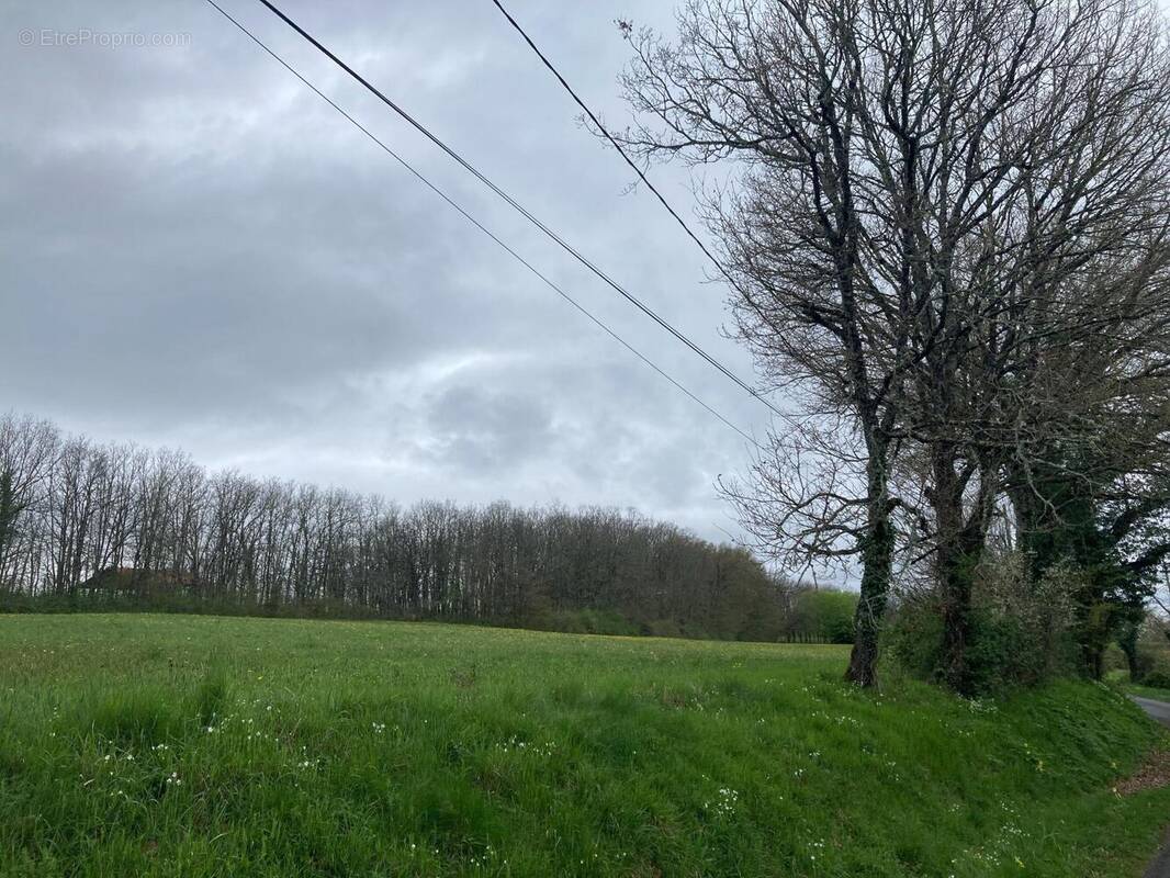 Photo 1 - Terrain à LE VIGAN