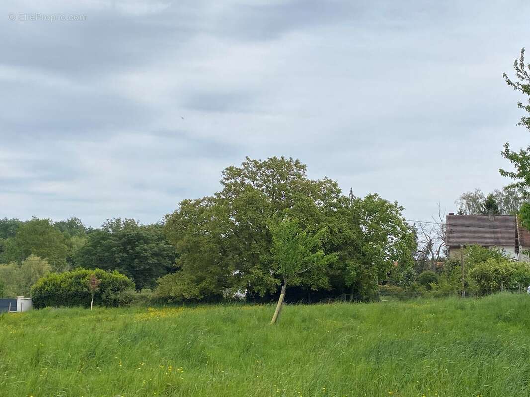Terrain à MAISONCELLES-EN-BRIE