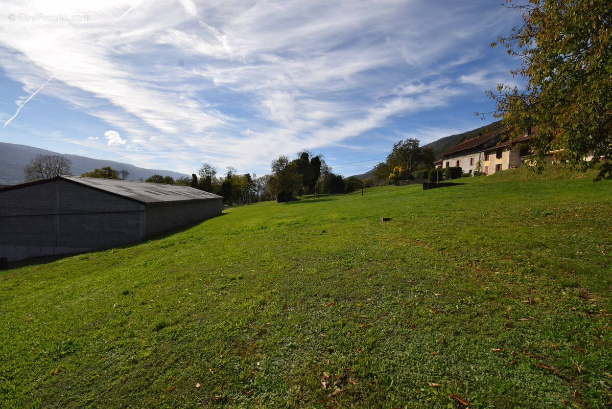 Terrain à ANGLEFORT