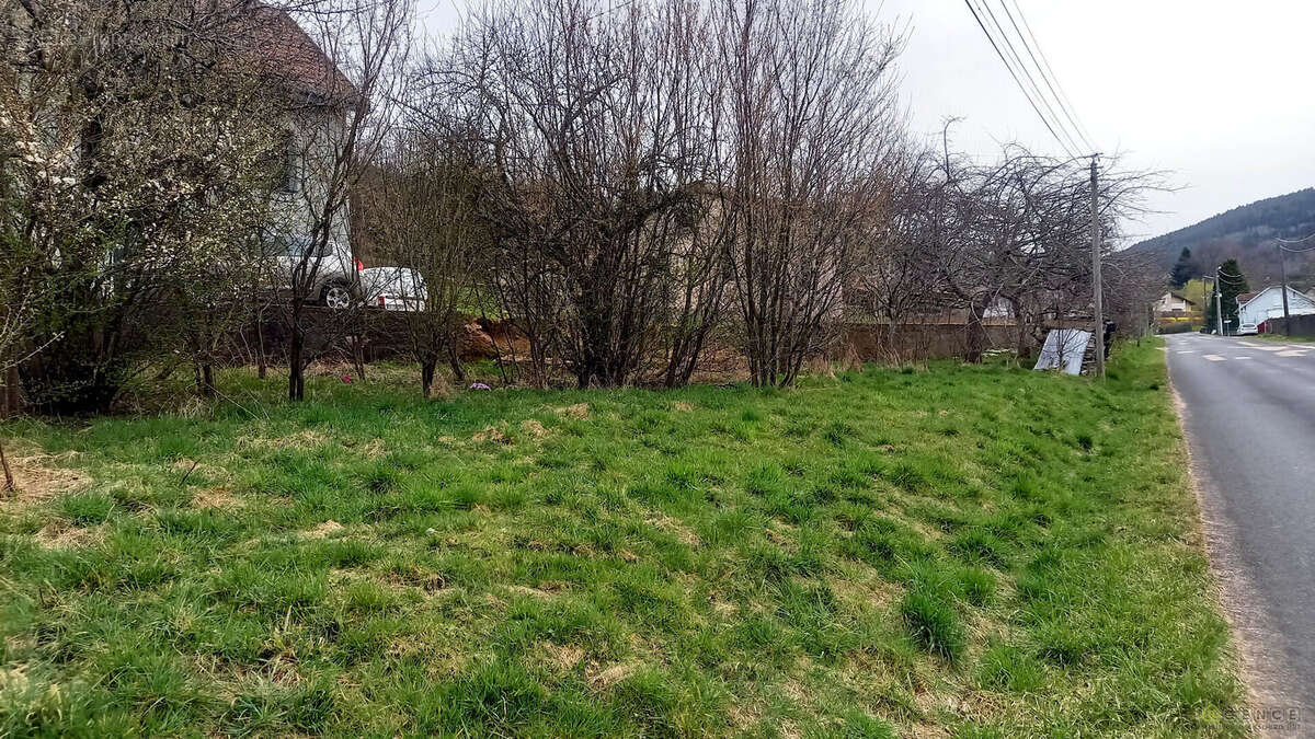 Terrain à FRAIZE