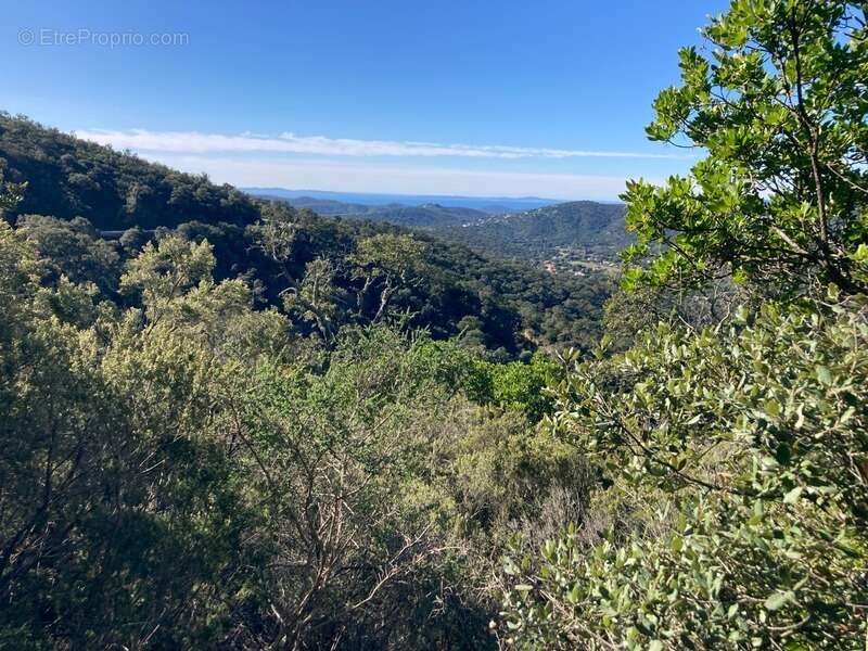 Terrain à BORMES-LES-MIMOSAS