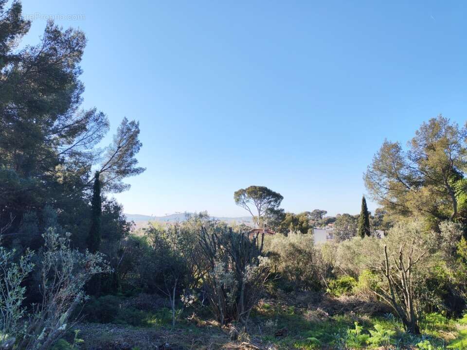 Terrain à TOULON