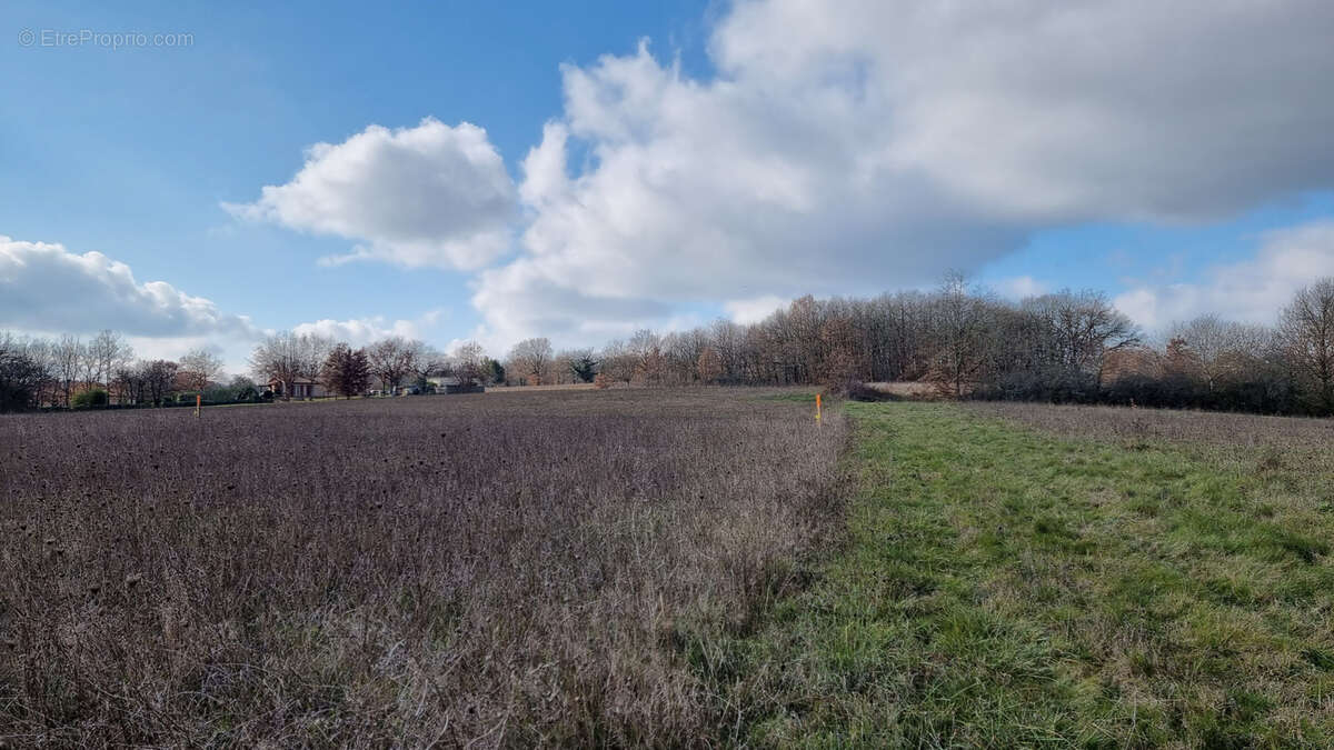 Terrain à L&#039;ISLE-EN-DODON