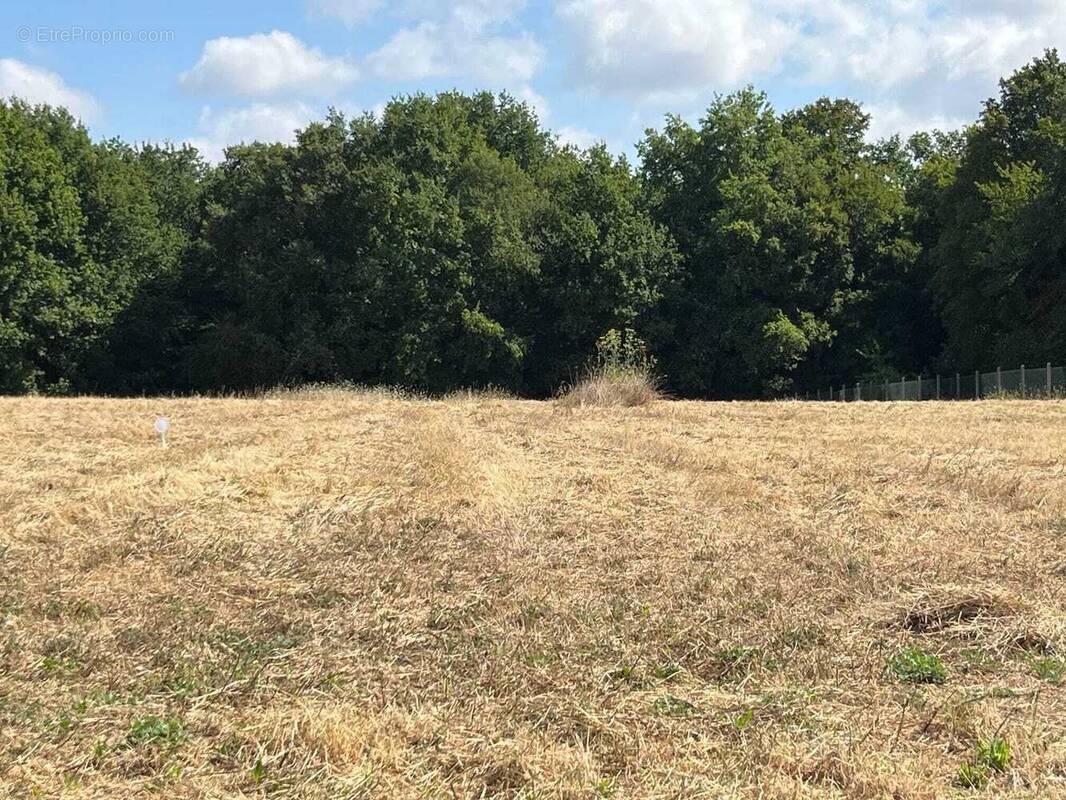 Terrain à SAINT-CESAIRE