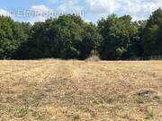 Terrain à SAINT-CESAIRE