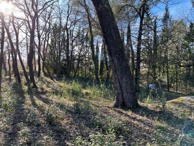 Terrain 800 m² à Greasque  - photo 3