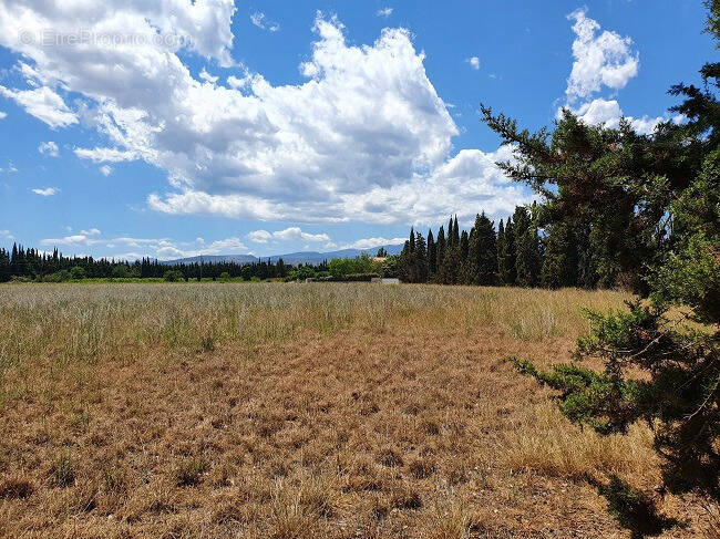 Terrain à SAINT-JEAN-PLA-DE-CORTS